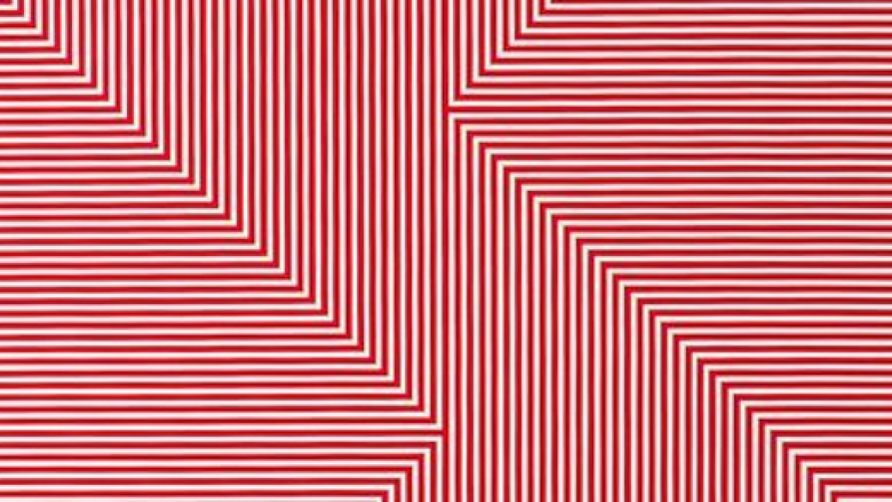 Estimation gratuite François Morellet