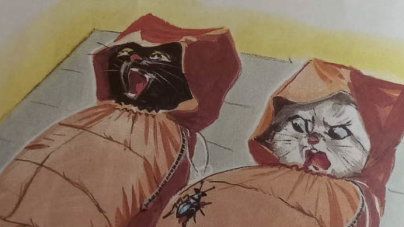 Estimation gratuite Pierre Probst