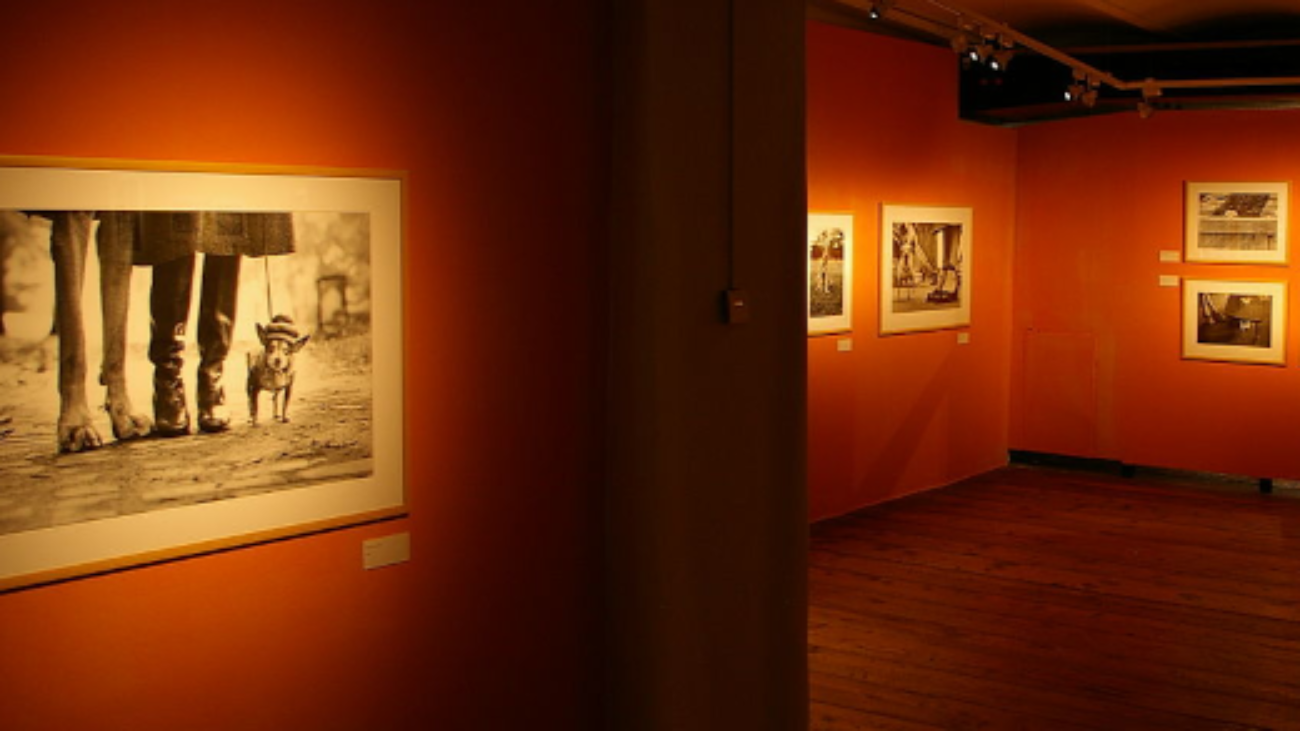 Estimation gratuite Elliott Erwitt