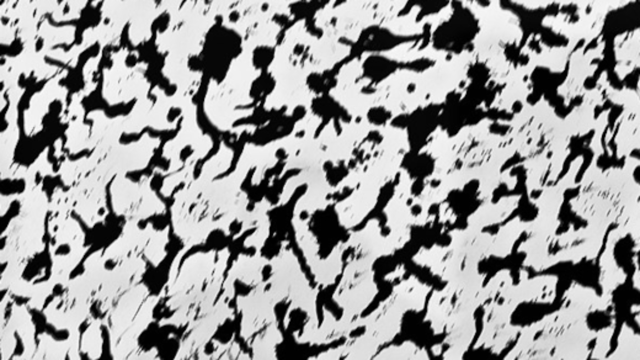 Estimation gratuite Henri Michaux