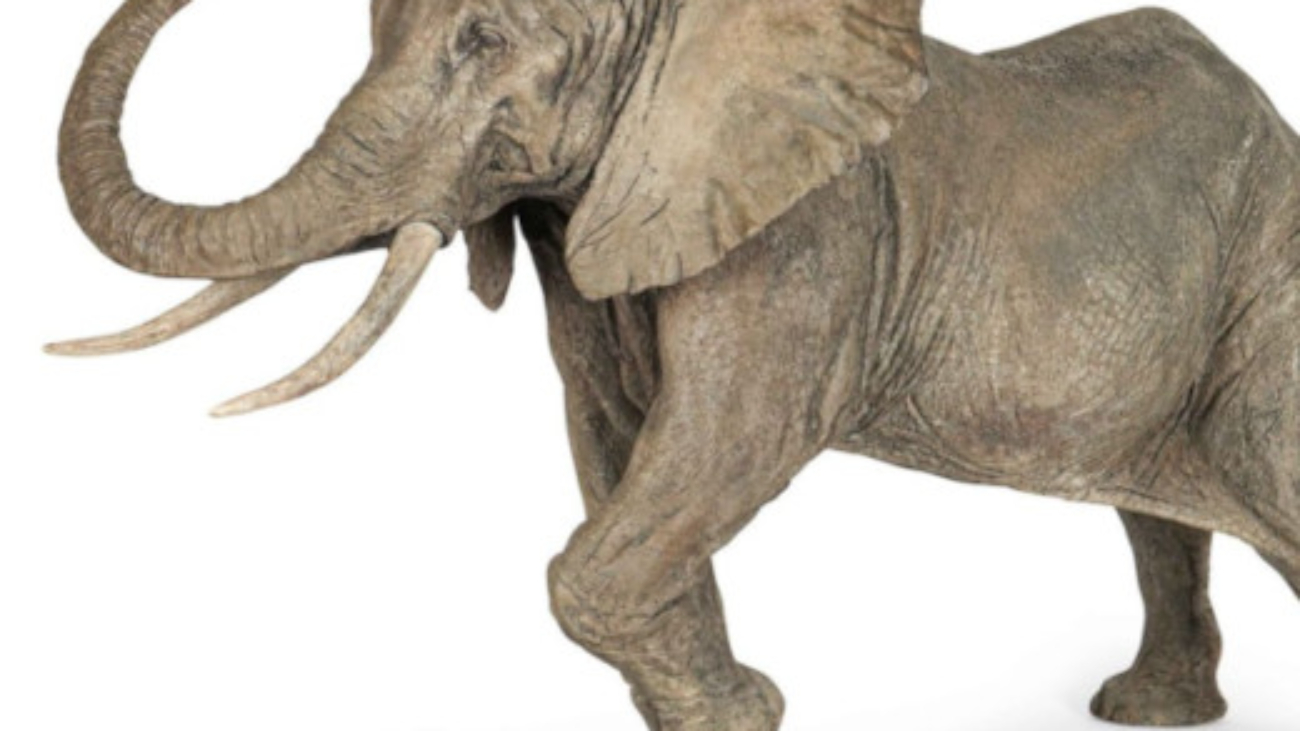 Sculpture d'éléphant de Romain Langlois