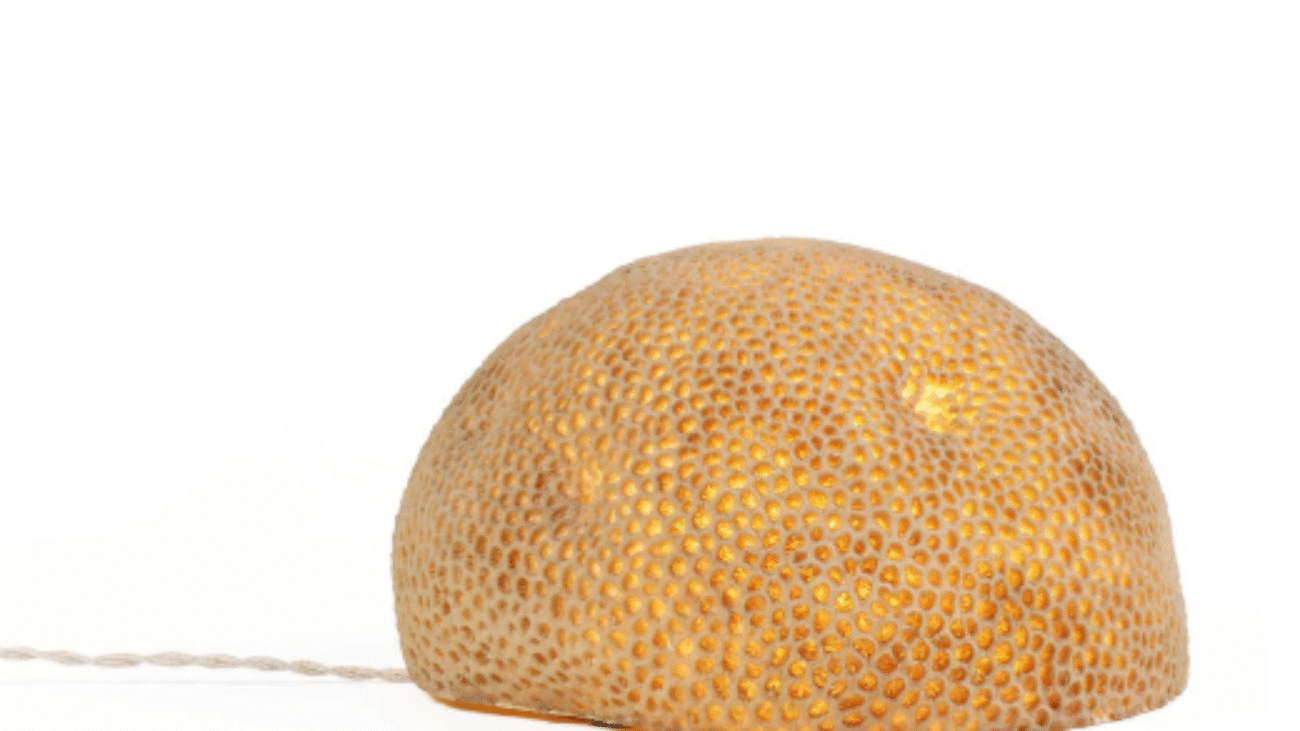 Estimation gratuite André Cazenave