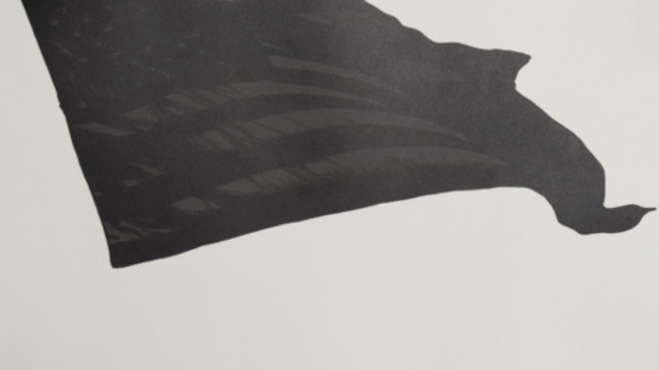 Oeuvre réalisée par Robert Longo