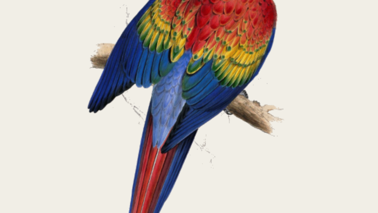 Estimation gratuite Edward Lear