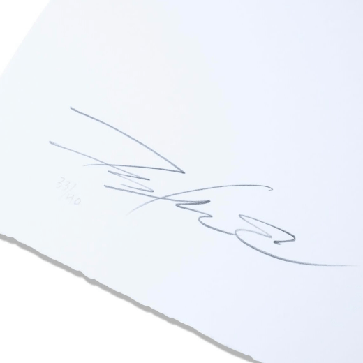 Expertise signature Futura 2000