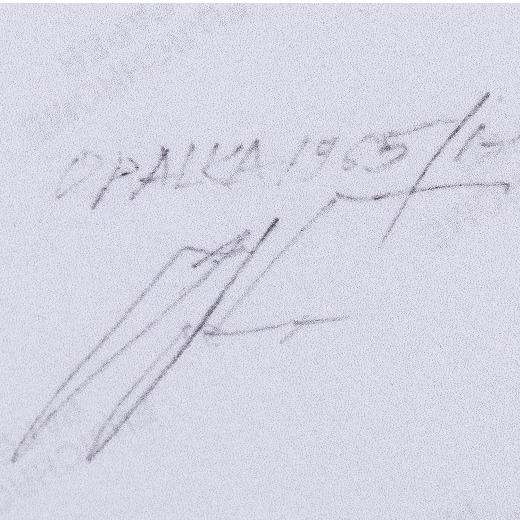 Expertise signature Roman Opalka