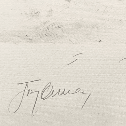 Signature Jaume Plensa