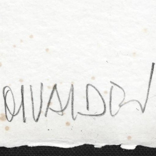 Signature Manolo Valdes