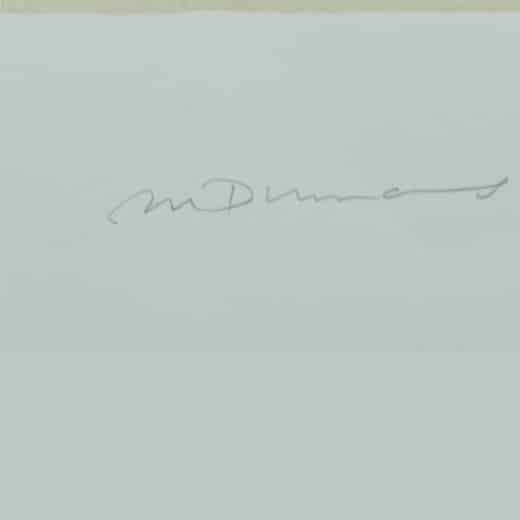 Signature Marlene Dumas