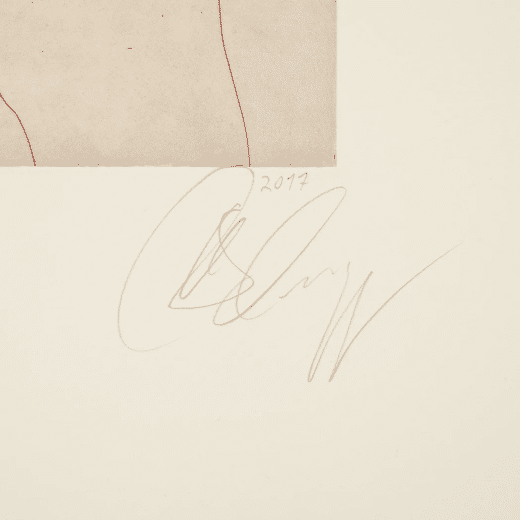 Signature Tony Cragg