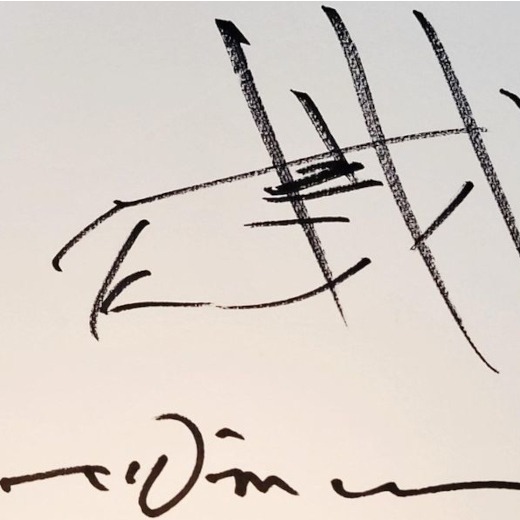 Signature Yoshitaka Amano