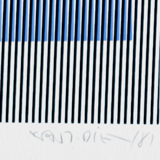 Signature Carlos Cruz Diez