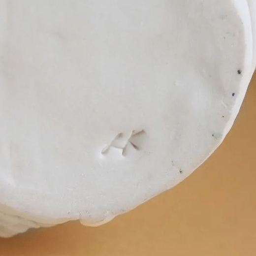 Expertise signature Leah Kaplan