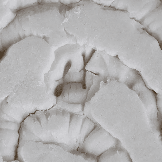 Signature Leah Kaplan